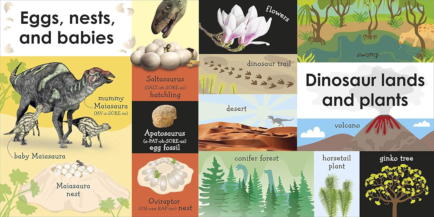 100 First Dinosaur Words - Image 5