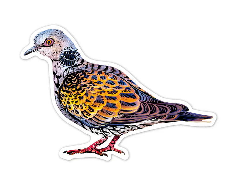 Avenir Scratch Stickers Bird - Image 3