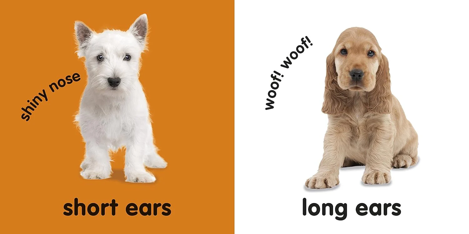 Baby Touch & Feel Puppies (Board Book) - Image 2