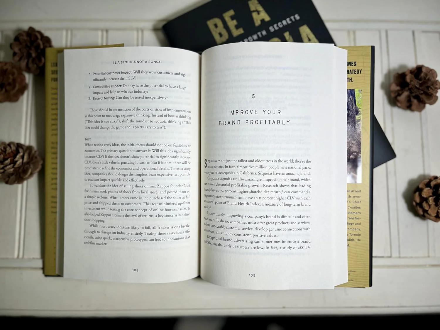 Be a Sequoia, Not a Bonsai: The Seven Growth Secrets of the World’s Most Successful Companies (Hardcover) - Image 2
