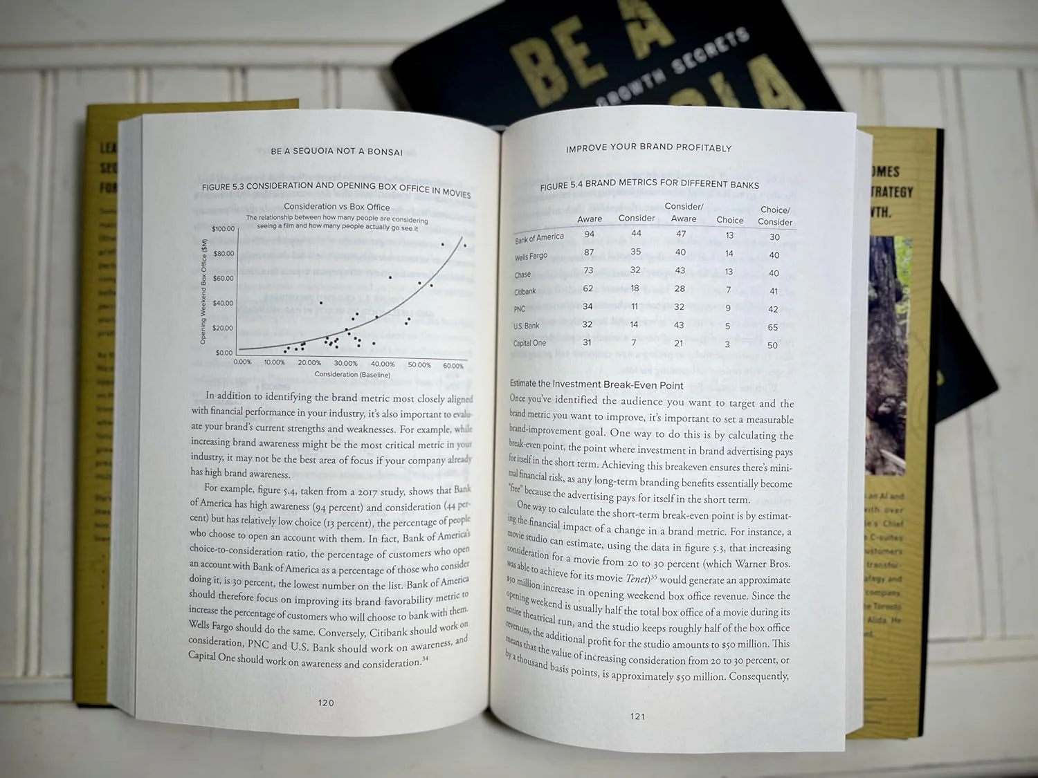 Be a Sequoia, Not a Bonsai: The Seven Growth Secrets of the World’s Most Successful Companies (Hardcover) - Image 3