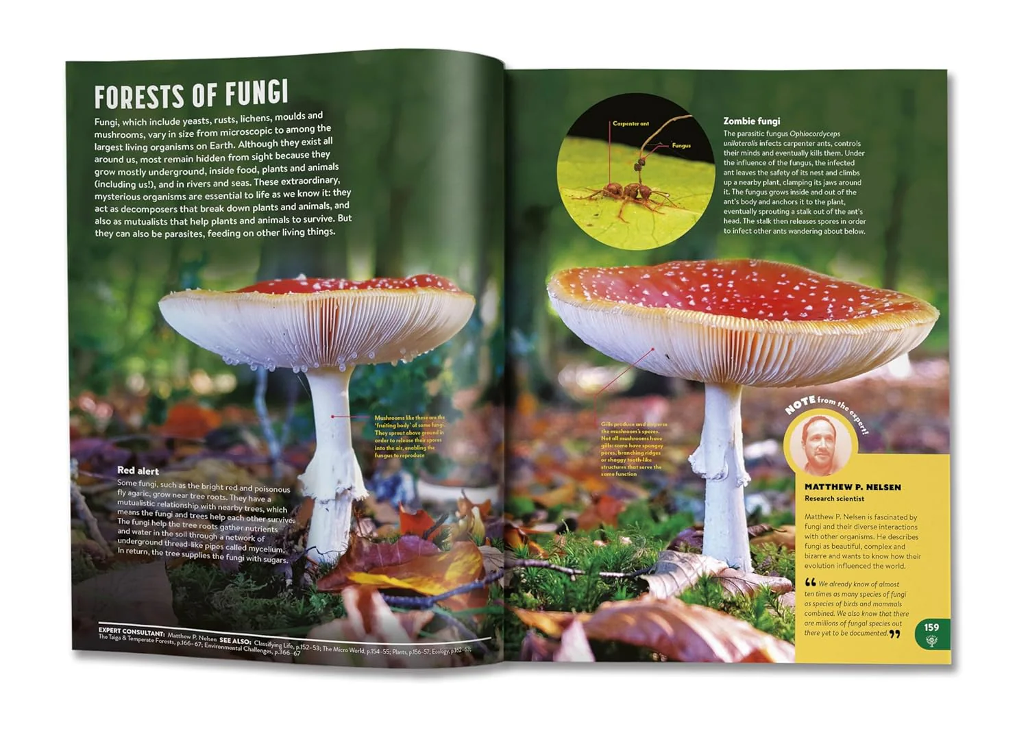 Britannica All New Children Encyclopedia - Image 4