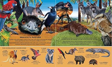 C-garry Fleming's Wild Animals (bk & Pz) - Image 2