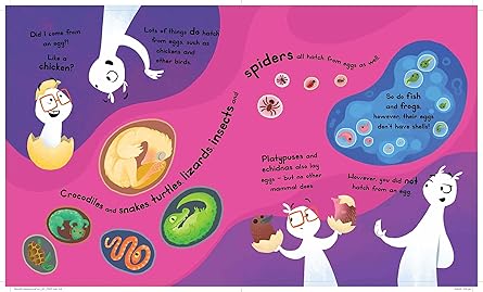 C-whiz Kids : What's Next? (sequence Puz - Image 3