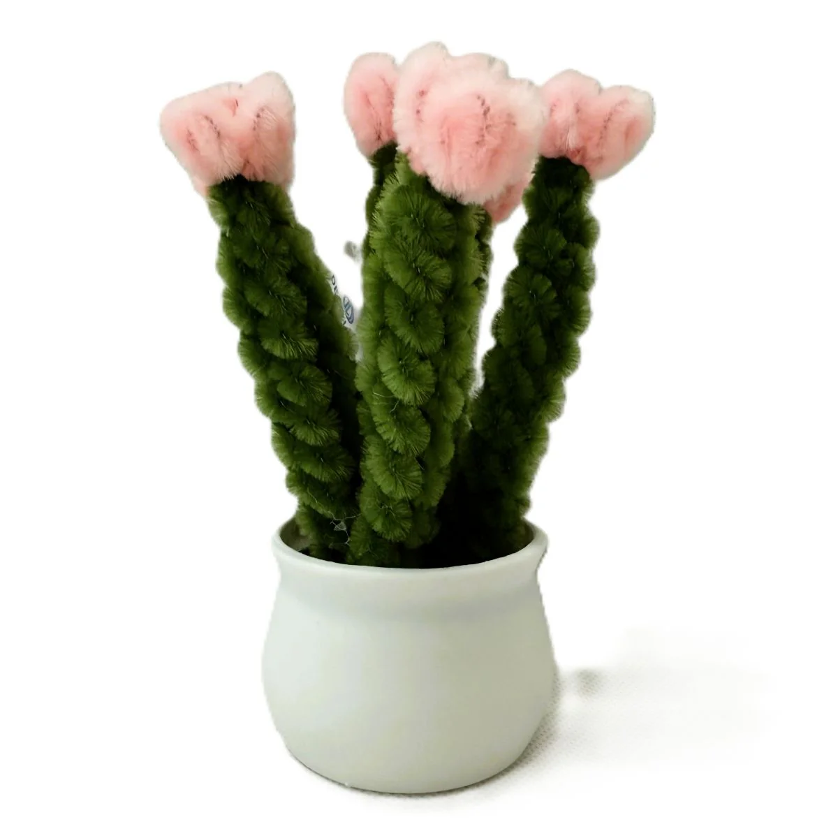 Cactus Twist Flower Pot 210