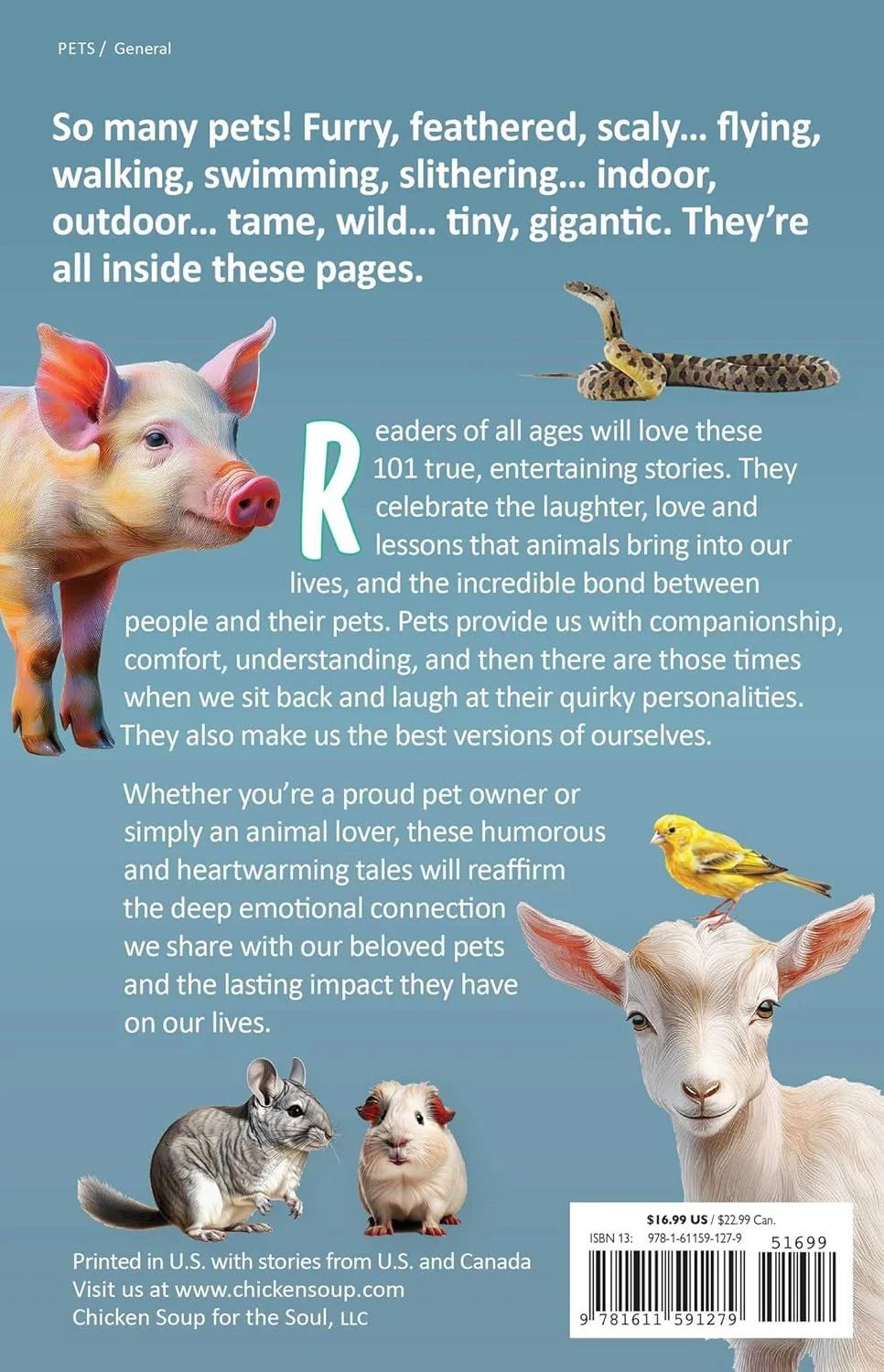 Chicken Soup for the Soul: Pets, Pets, Pets - Image 2