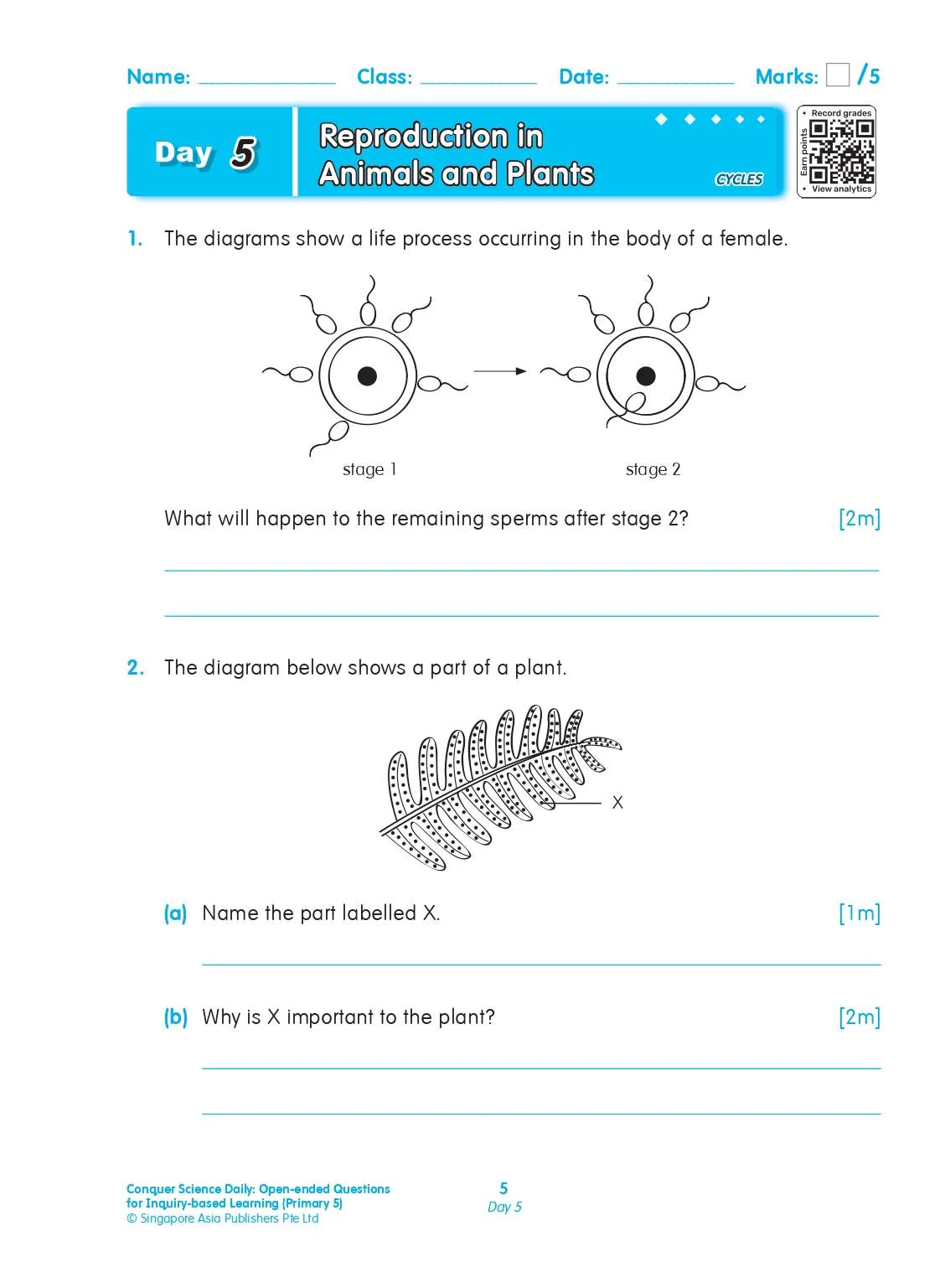 Conquer Science Daily Open-ended Questions for Inquiry-based Learning Primary 5 - Image 5