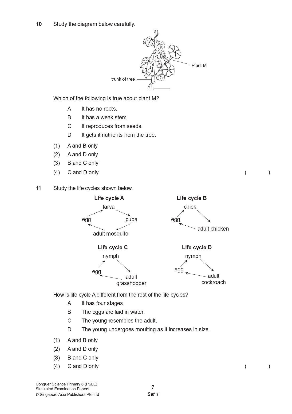 Conquer Science Primary 6 PSLE Simulated Examination Papers - Image 5
