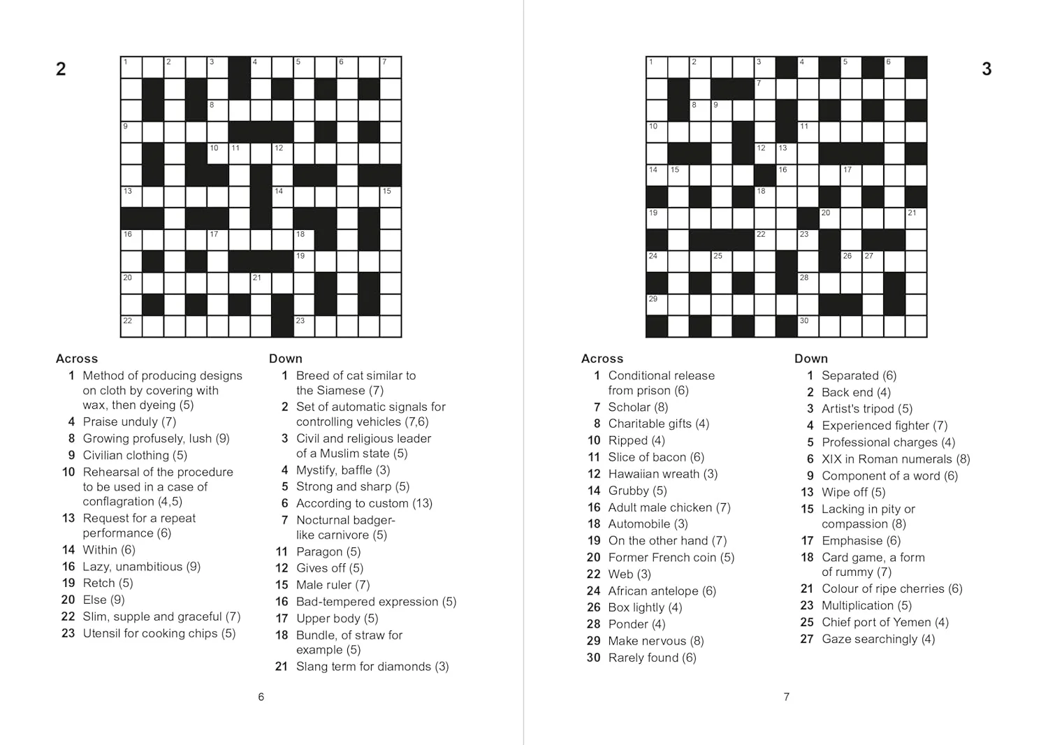 Crosswords (Paperback) - Image 2