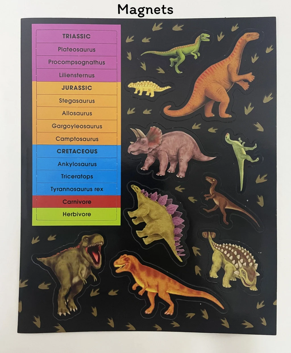 Dinosaurs Factivity Magnetic Folder & Book (With Dino Magnets & Play Board For Kids) – Novelty Book - Image 4