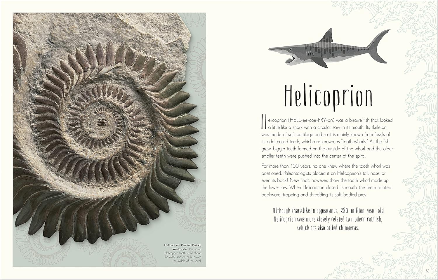 Dinosaurs and Other Prehistoric Life (Hardcover) - Image 3