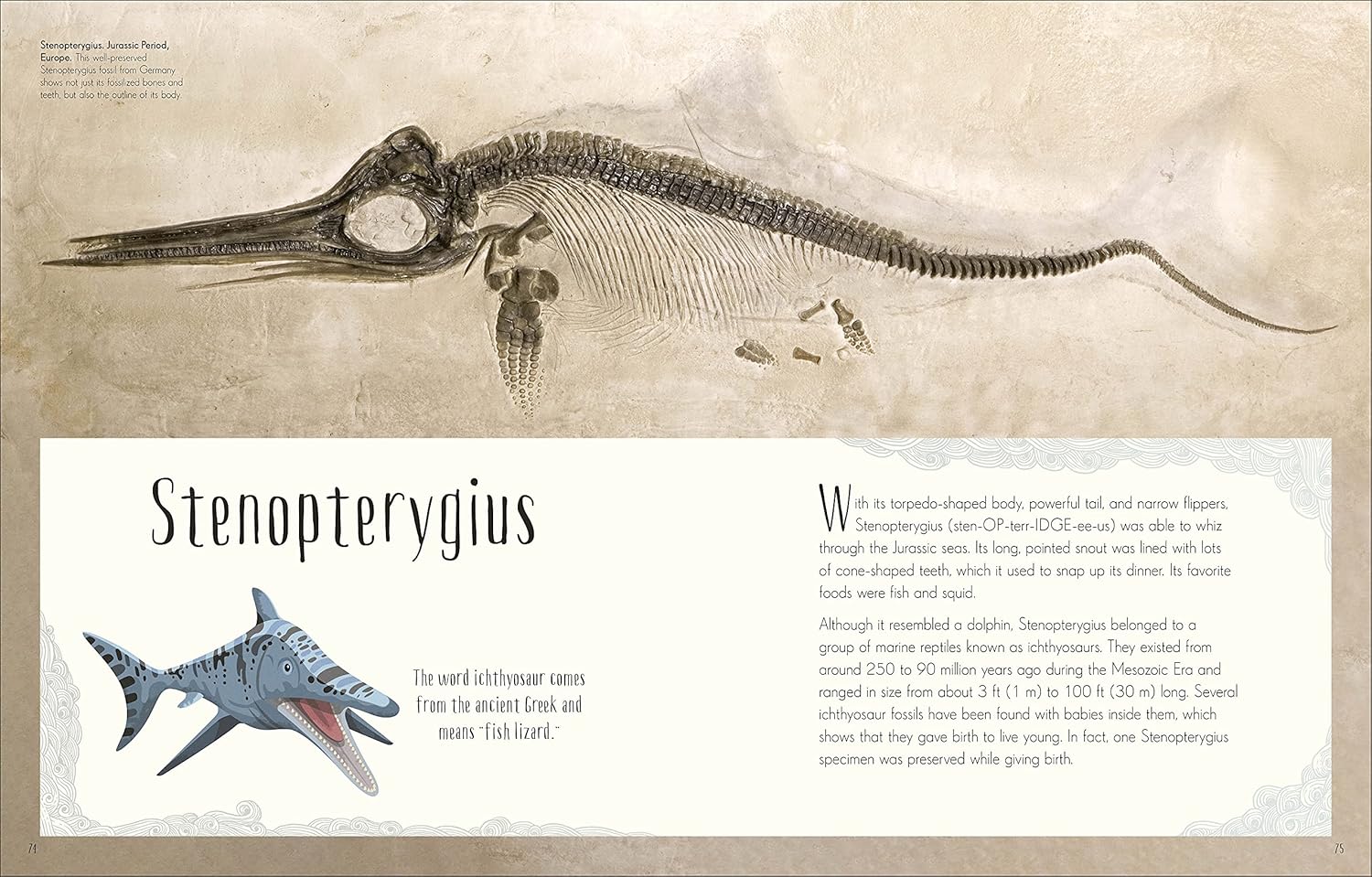 Dinosaurs and Other Prehistoric Life (Hardcover) - Image 5