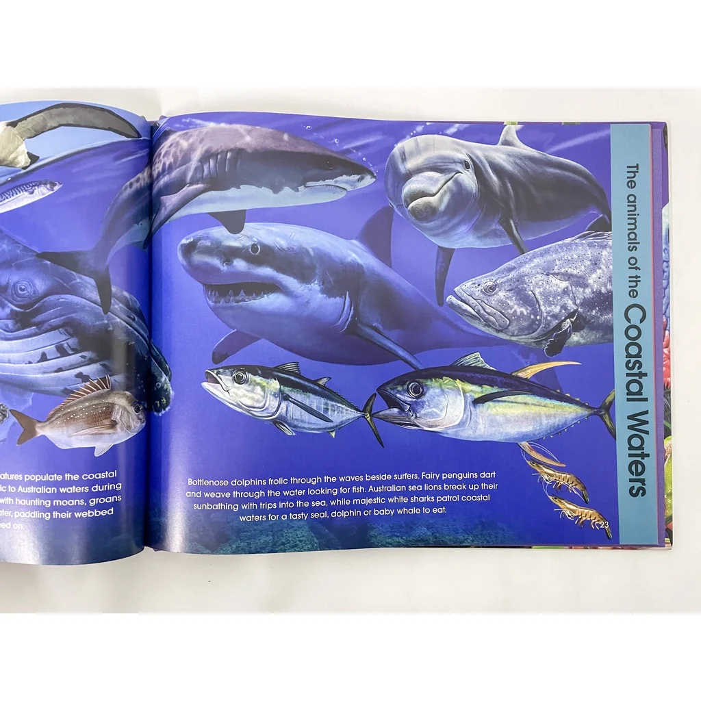 Discover The Animals Of Australia (For Kids With Beautiful Illustrations & Stories) – Hardcover - Image 3