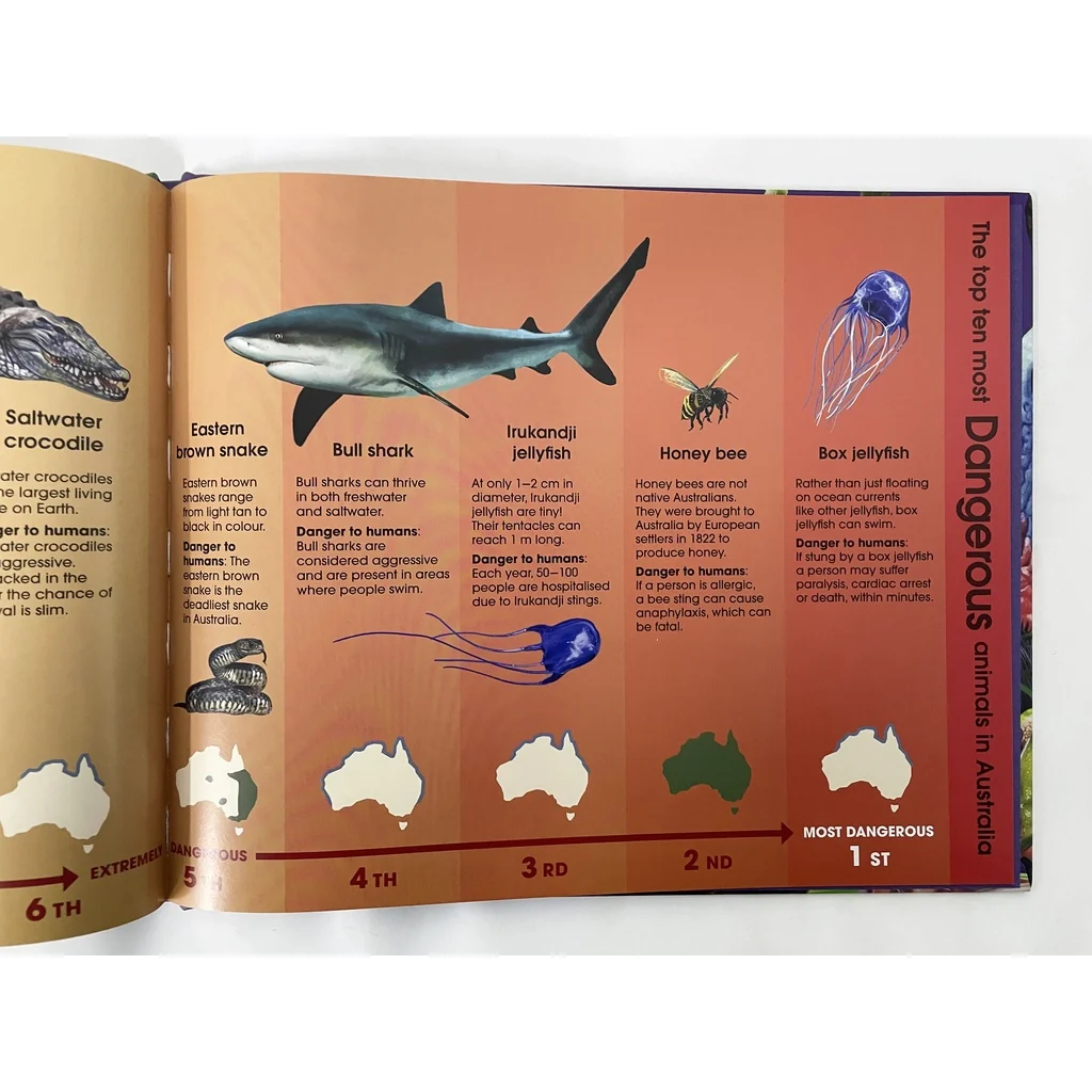 Discover The Animals Of Australia (For Kids With Beautiful Illustrations & Stories) – Hardcover - Image 4