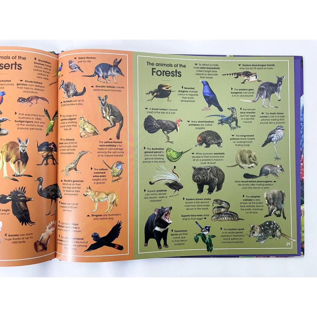 Discover The Animals Of Australia (For Kids With Beautiful Illustrations & Stories) – Hardcover - Image 5