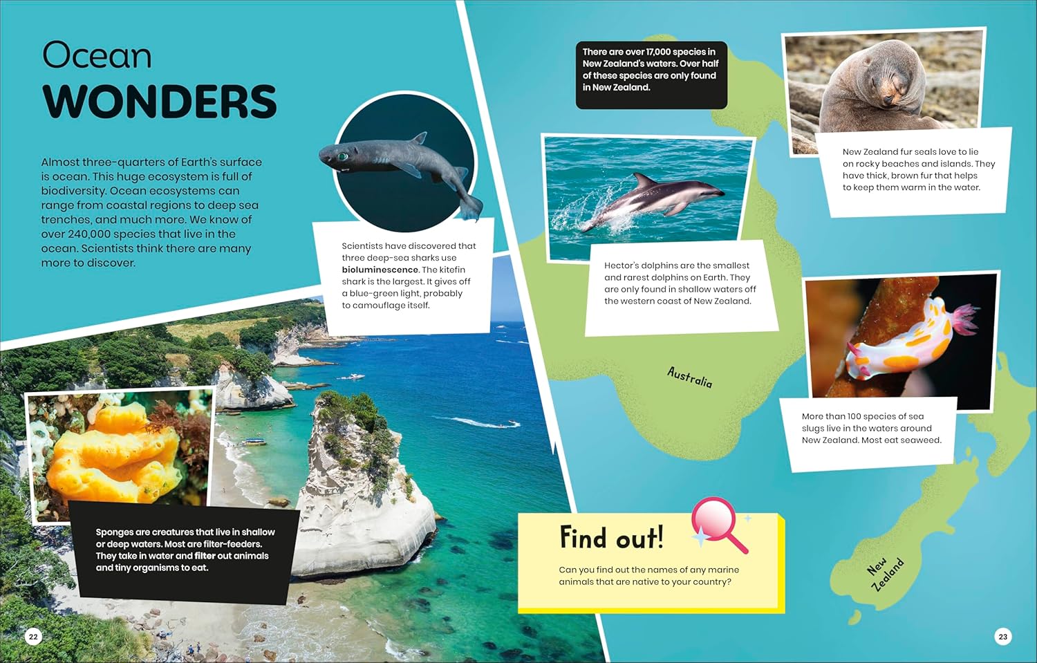 DK Super Planet Beautiful Biodiversity (Paperback) - Image 4