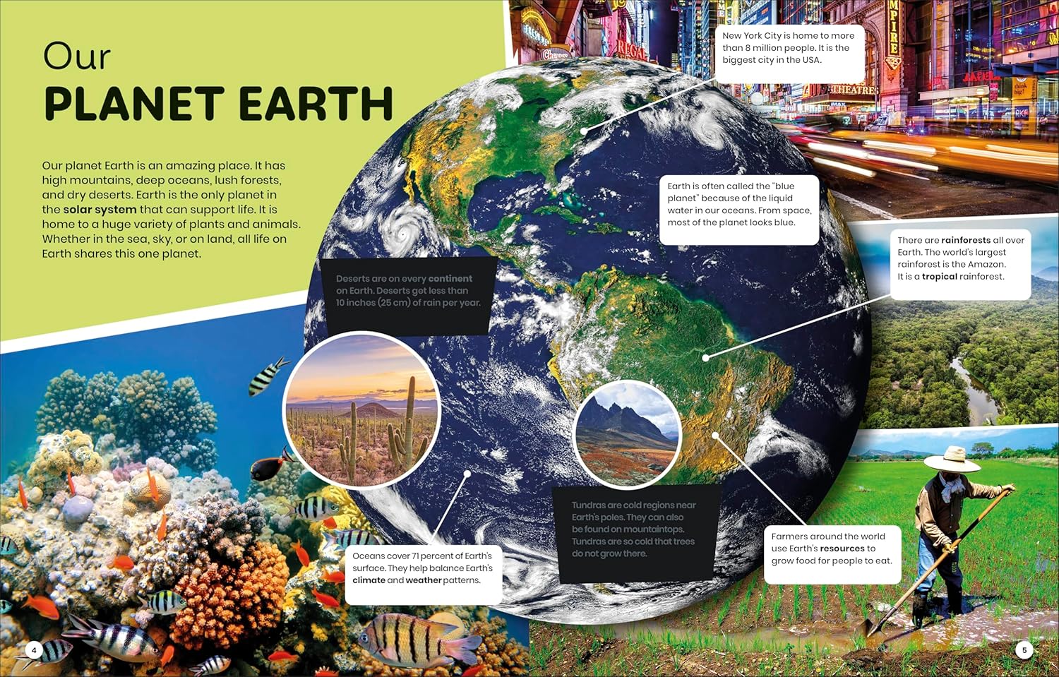 DK Super Planet Sharing The Planet (Paperback) - Image 2