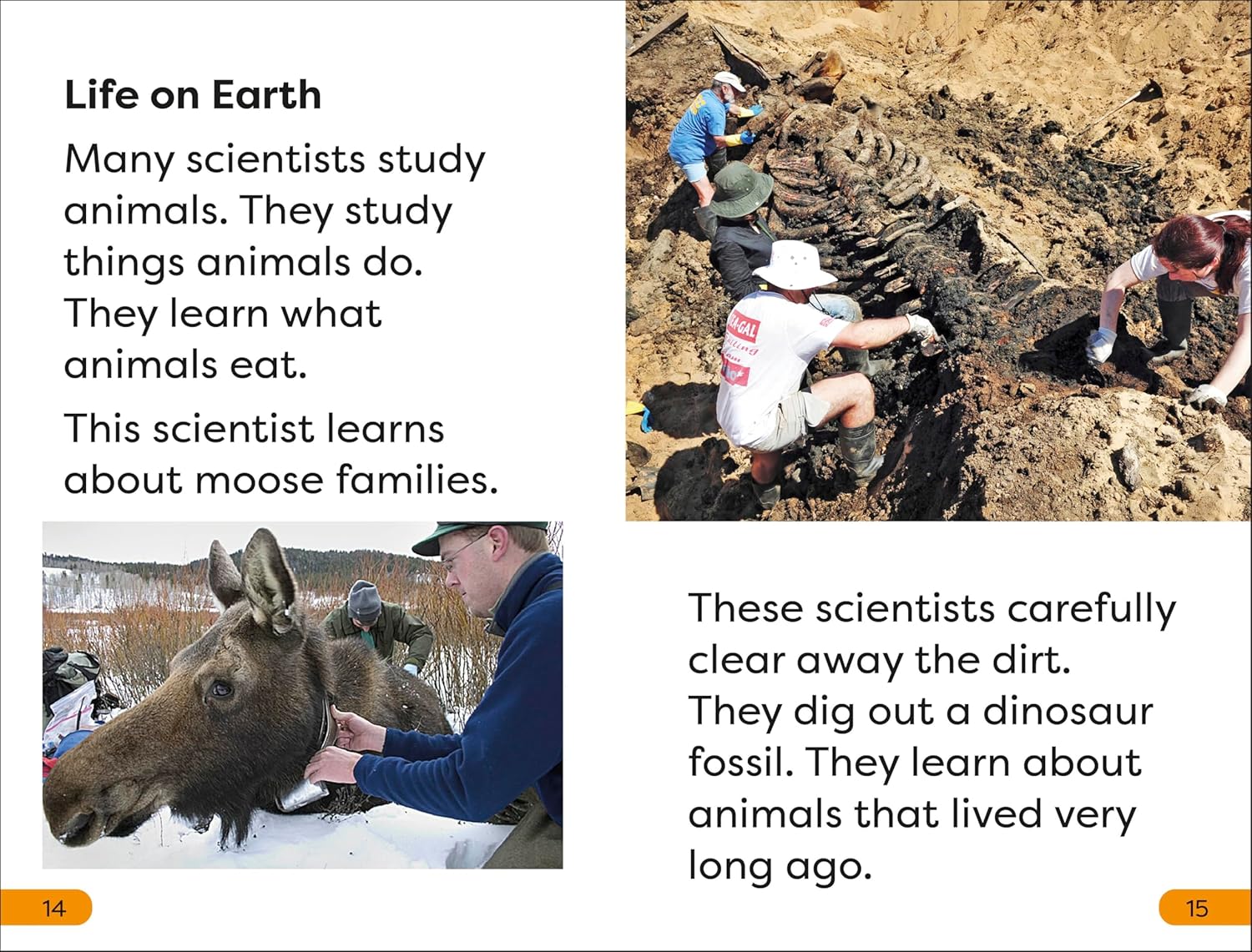 DK Super Readers Level 1 A Day in the Life of a Scientist (Paperback) - Image 3