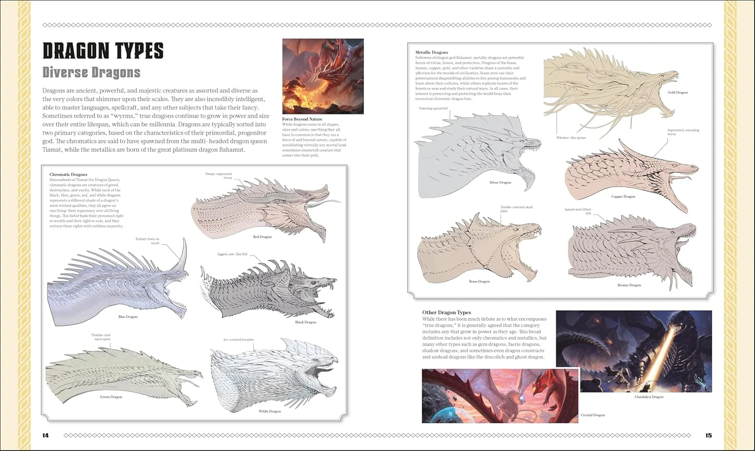Dungeons & Dragons The Book Of Dragons - Image 2