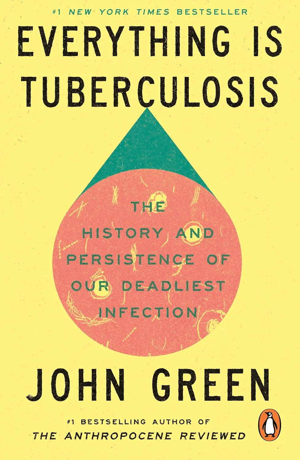 Everything Is Tuberculosis (Paperback)