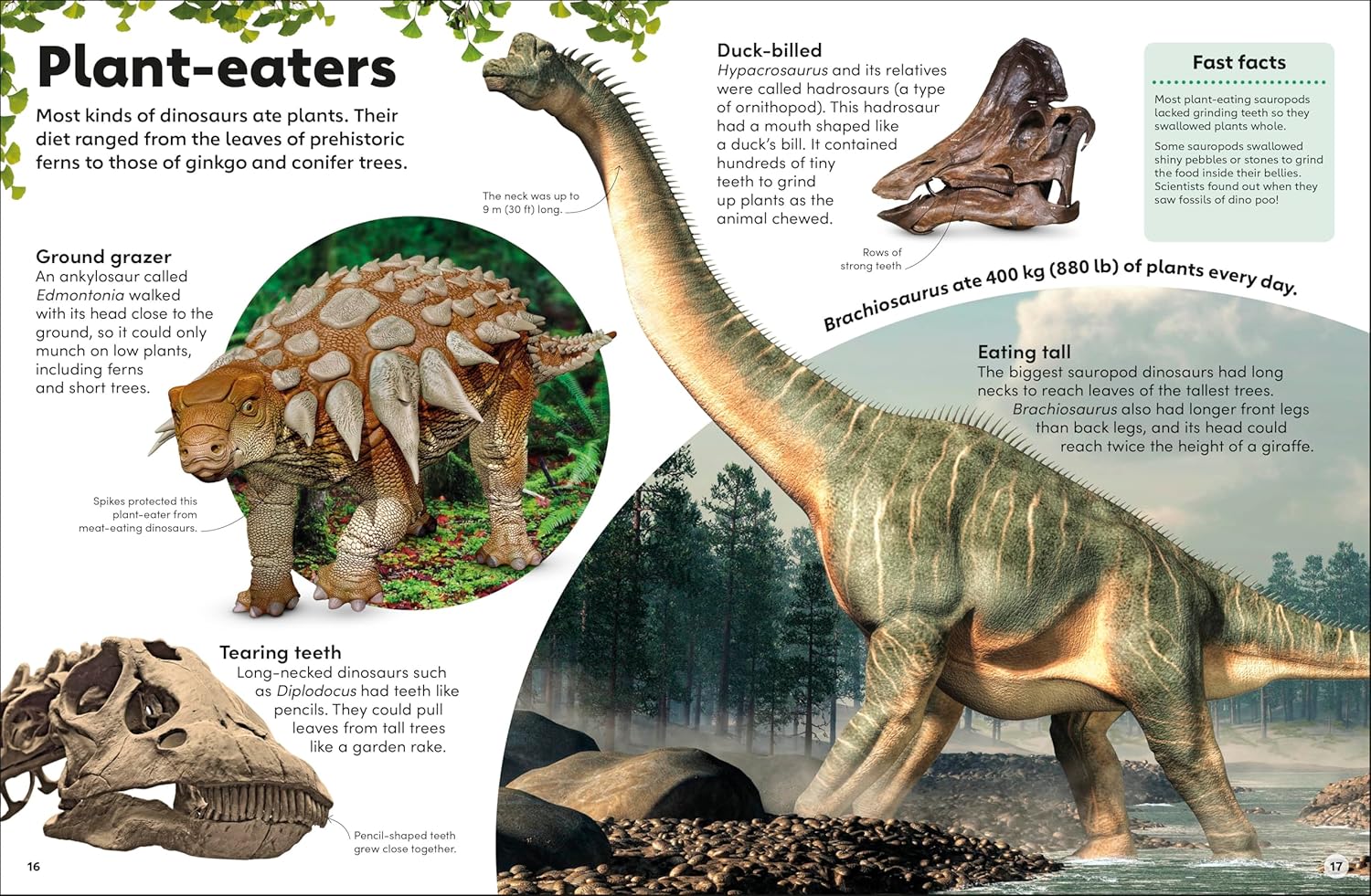 Eyewonder Dinosaurs: Open Your Eyes to a World of Discovery - Image 2