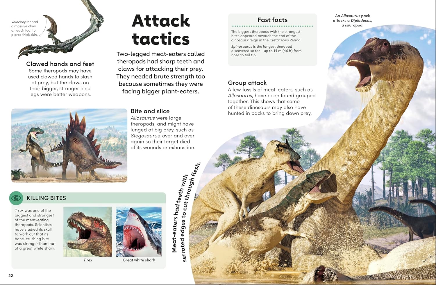 Eyewonder Dinosaurs: Open Your Eyes to a World of Discovery - Image 3