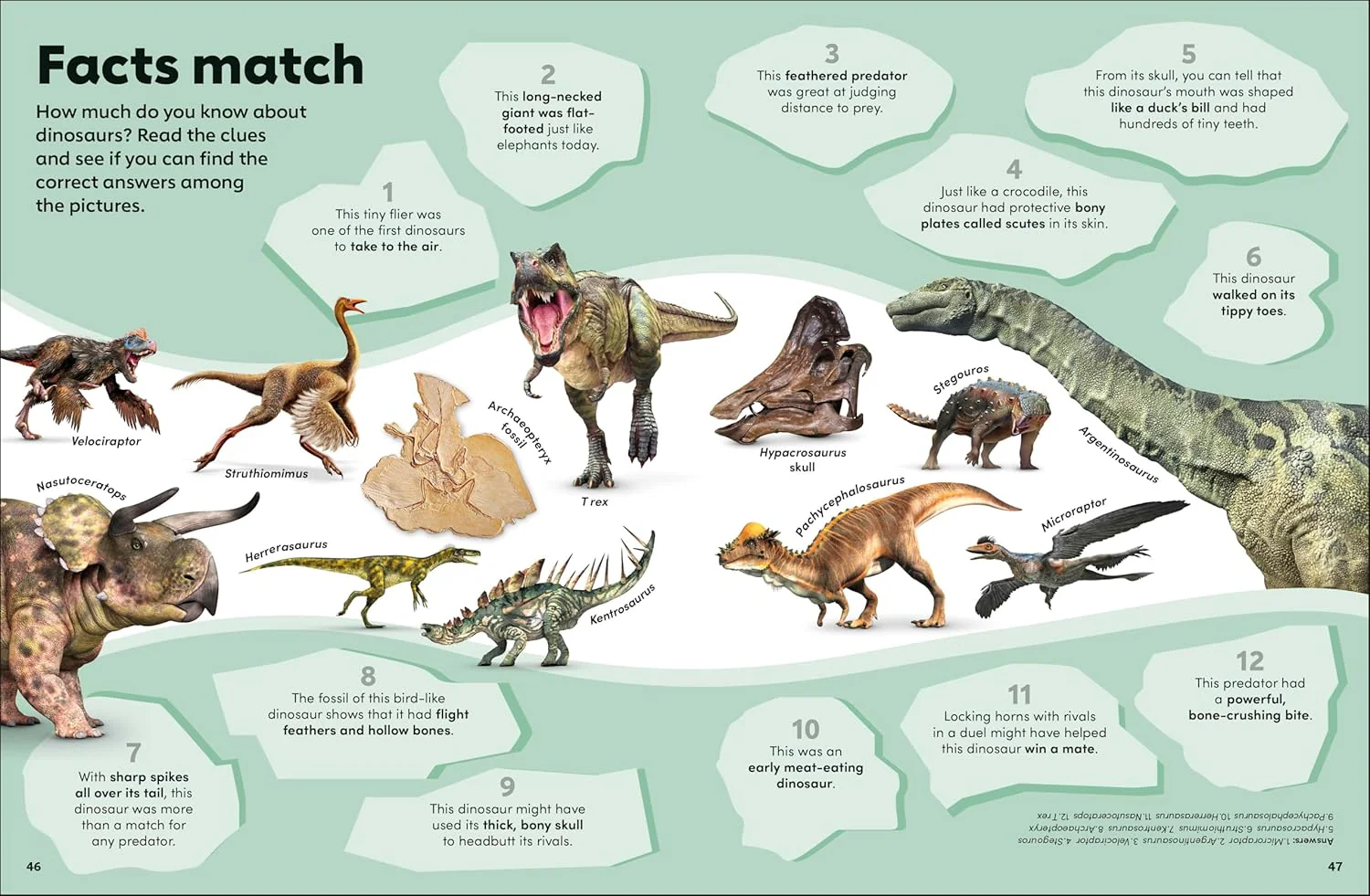 Eyewonder Dinosaurs: Open Your Eyes to a World of Discovery - Image 5