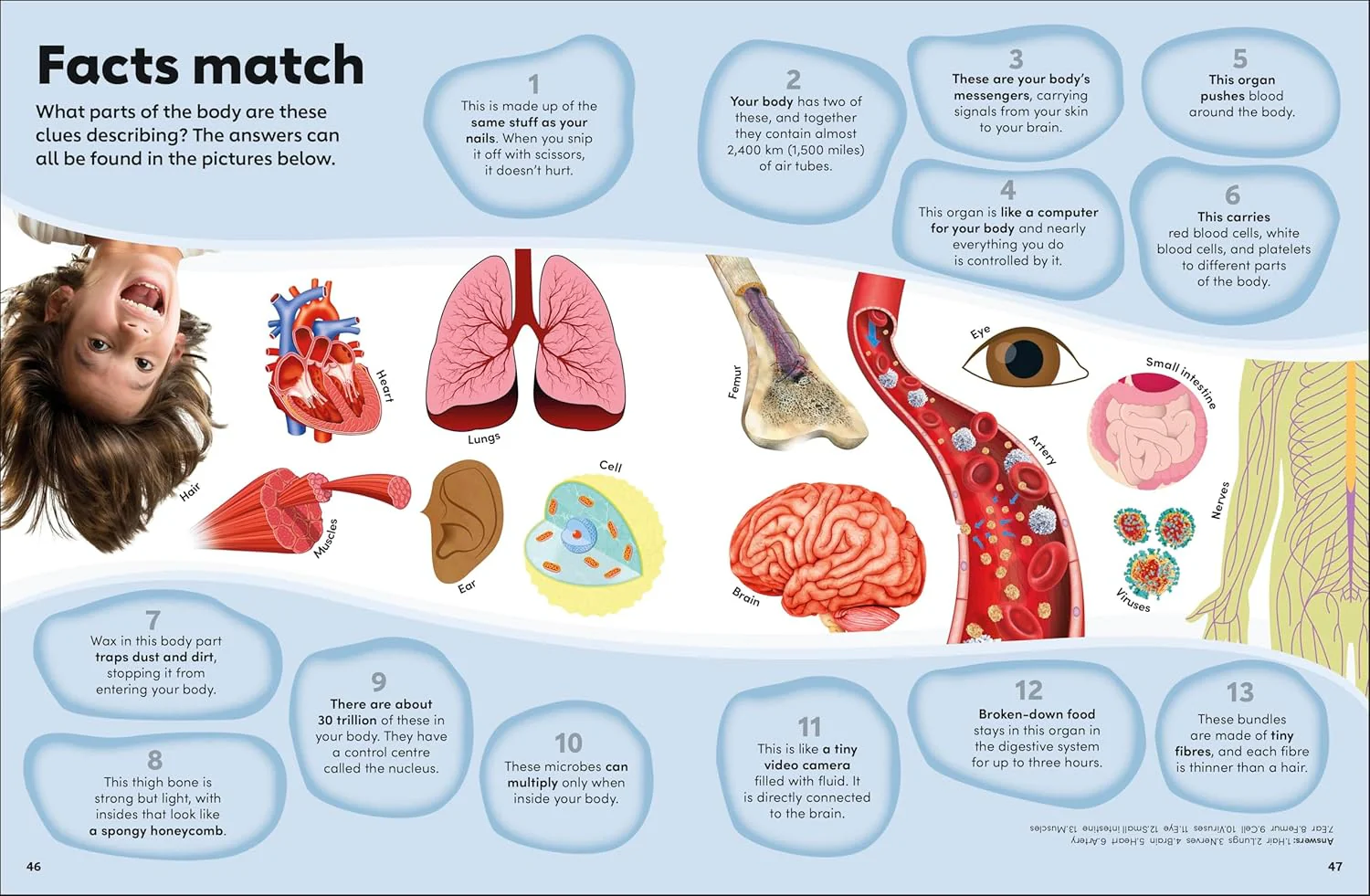 Eyewonder Human Body: Open Your Eyes to a World of Discovery - Image 5