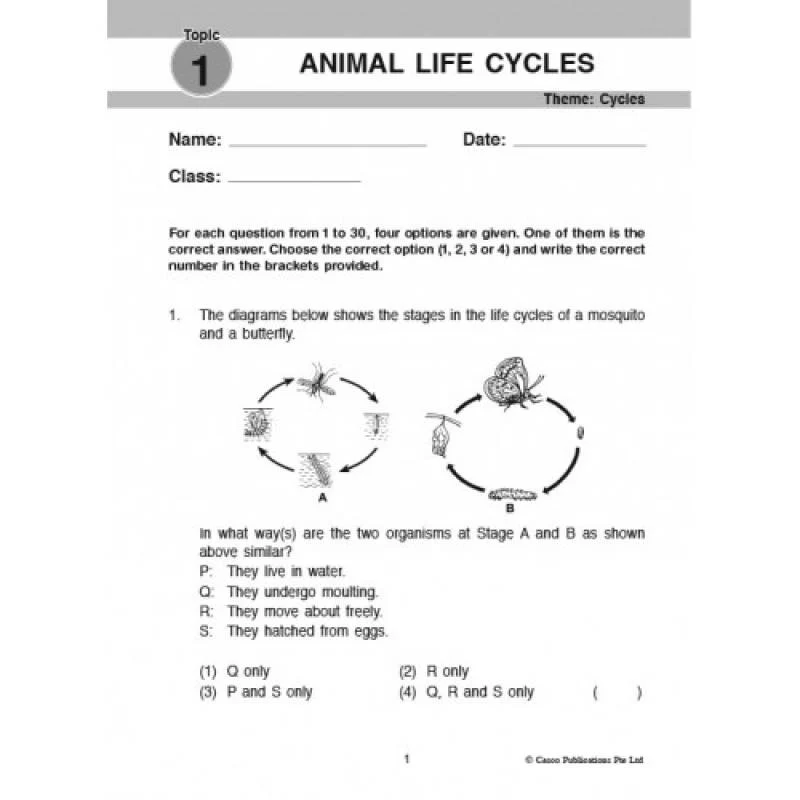Focus and Think Science Primary 4 - Image 4