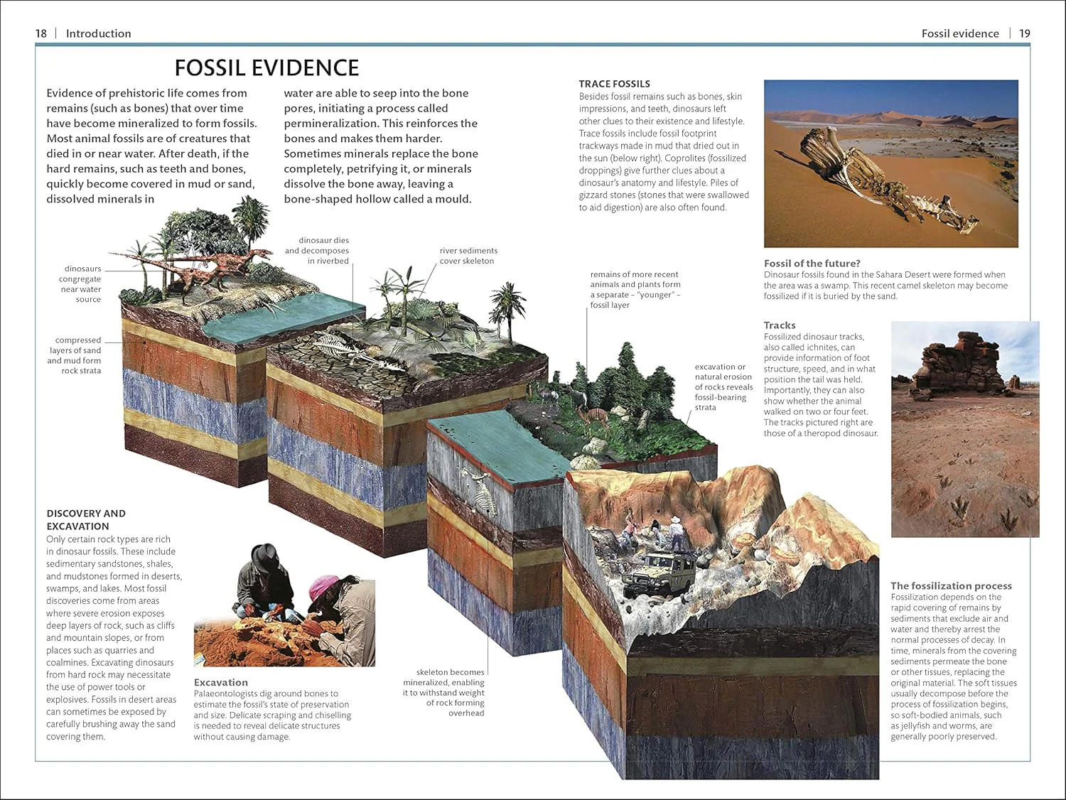 Dinosaurs and Other Prehistoric Life Handbook - Image 4