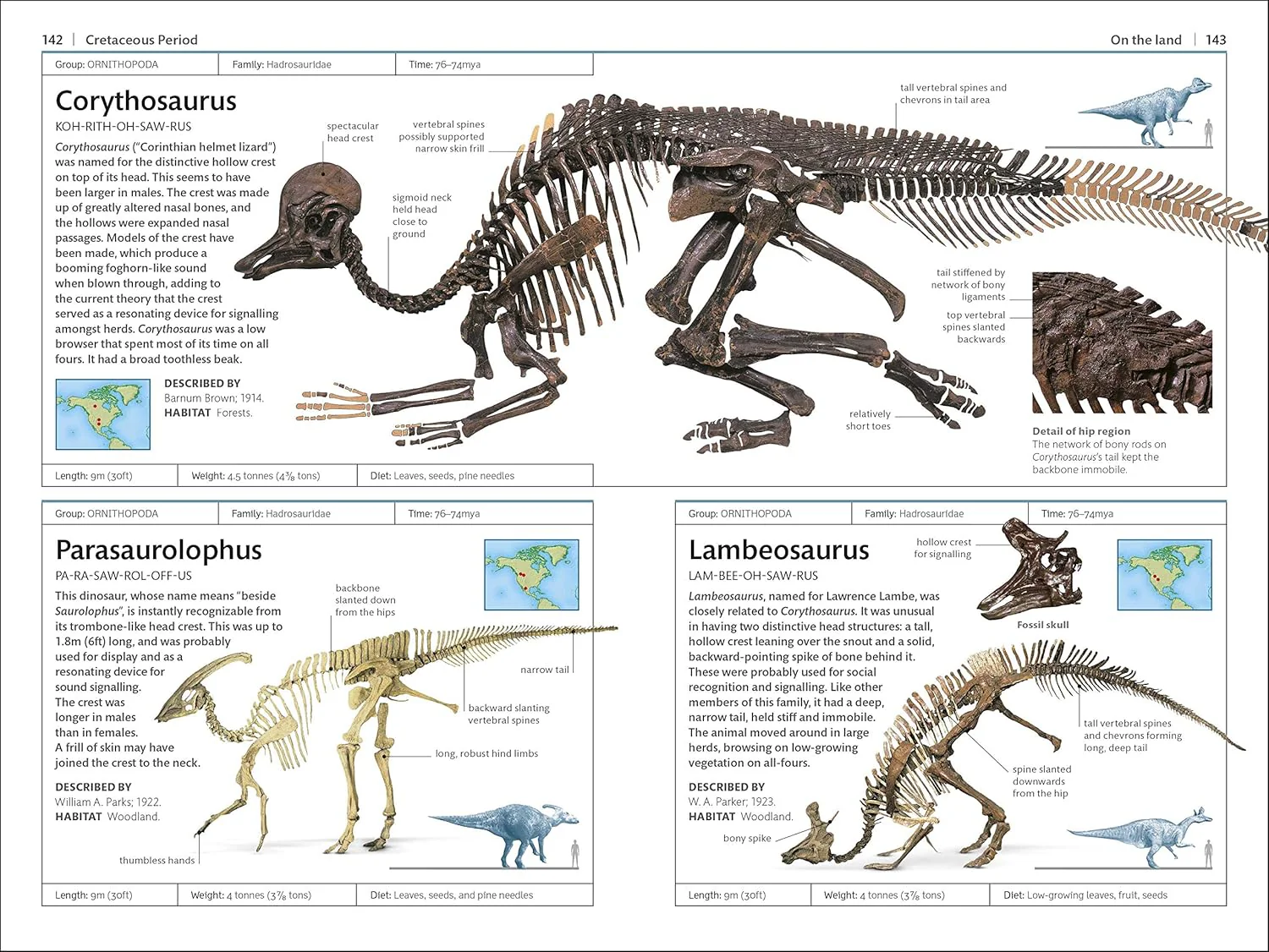 Dinosaurs and Other Prehistoric Life Handbook - Image 5