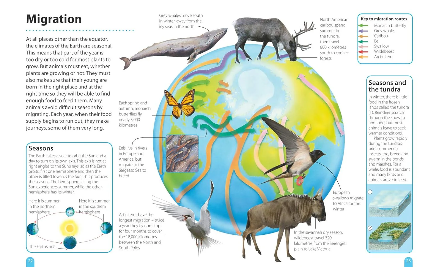How It Works: Environment - Image 2