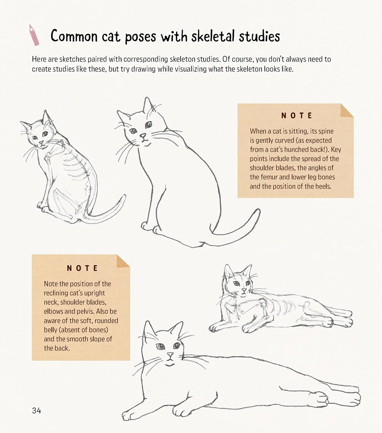 How to Draw Kawaii Cats: Sketch and Paint Your Adorable Feline Friends in Dozens of Different Ways! (Paperback) - Image 3