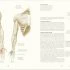 Humans: The Evolution of a Species - Image 3