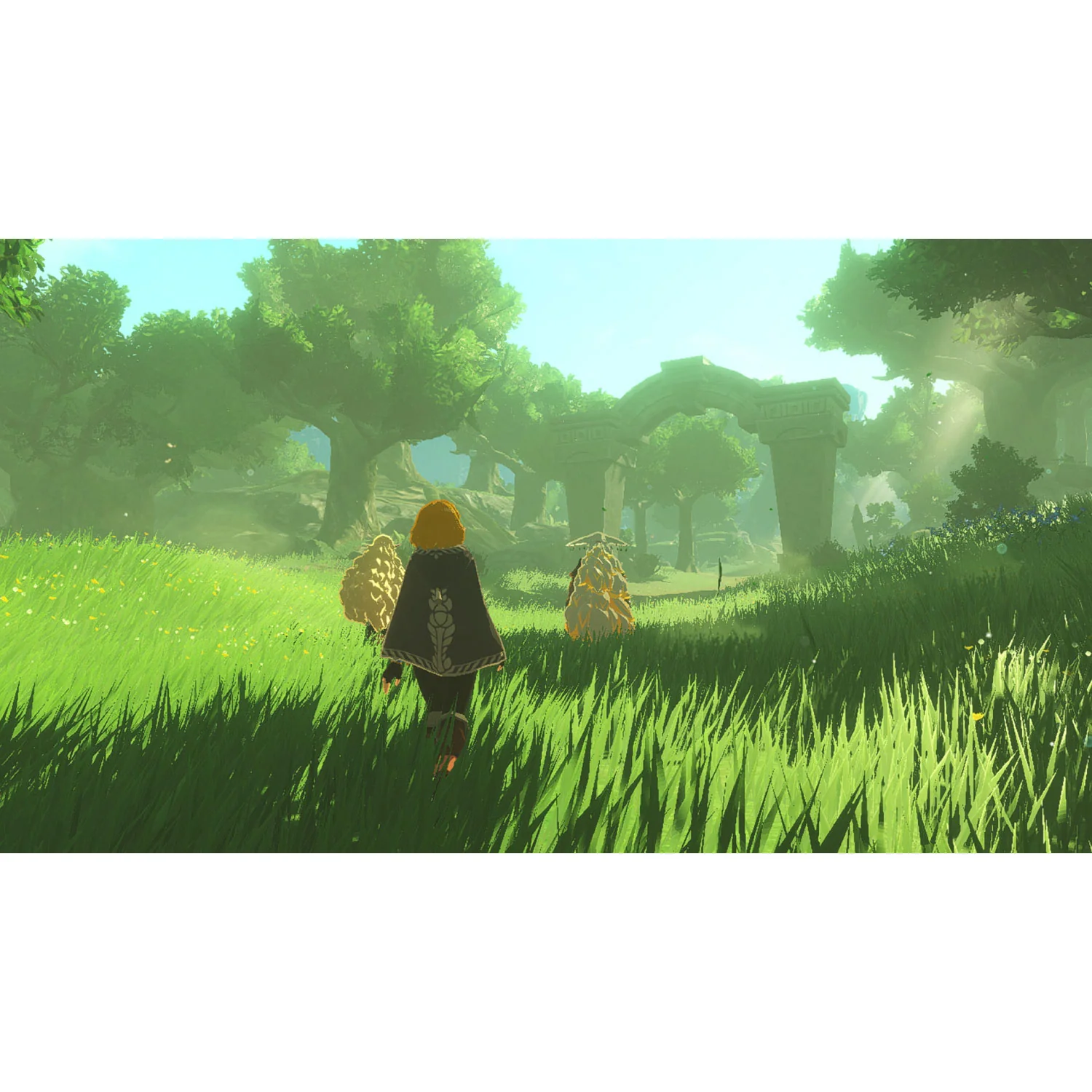 Nintendo Hyrule Warriors: Age of Imprisonment - Image 4