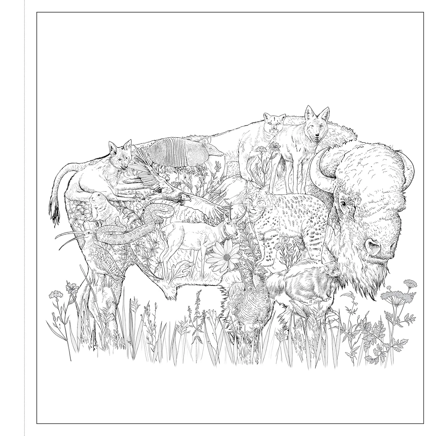 Imaginaria: In The Wild: An Artist's Coloring Book of Wonders Inside the Lines (Paperback) - Image 2
