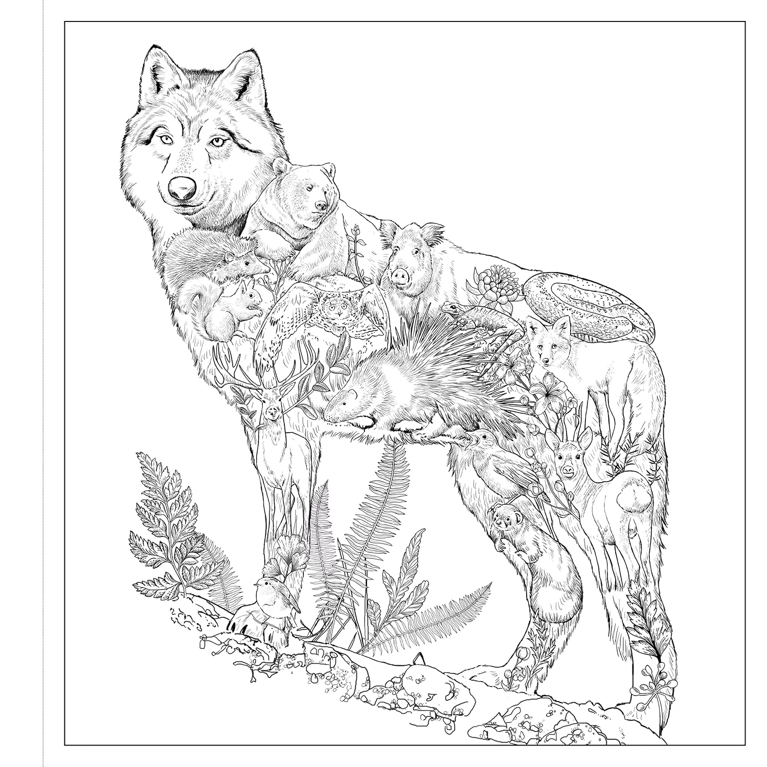 Imaginaria: In The Wild: An Artist's Coloring Book of Wonders Inside the Lines (Paperback) - Image 3