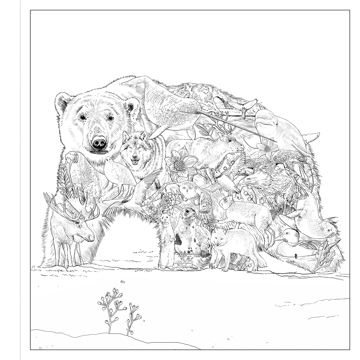 Imaginaria: In The Wild: An Artist's Coloring Book of Wonders Inside the Lines (Paperback) - Image 5