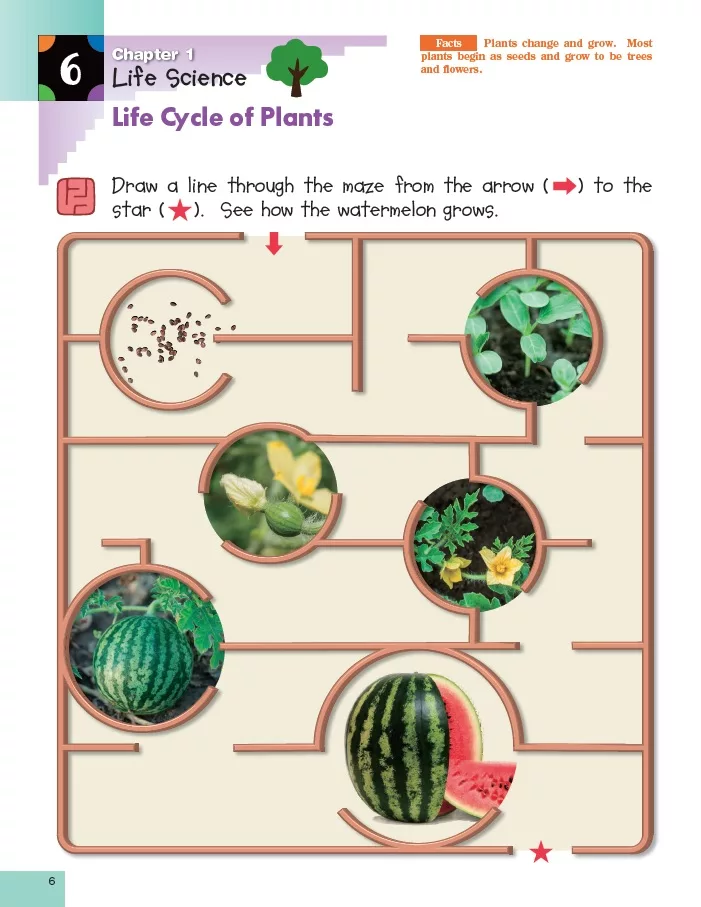 Kumon: Science K & Up Sticker Activity Book - Image 3