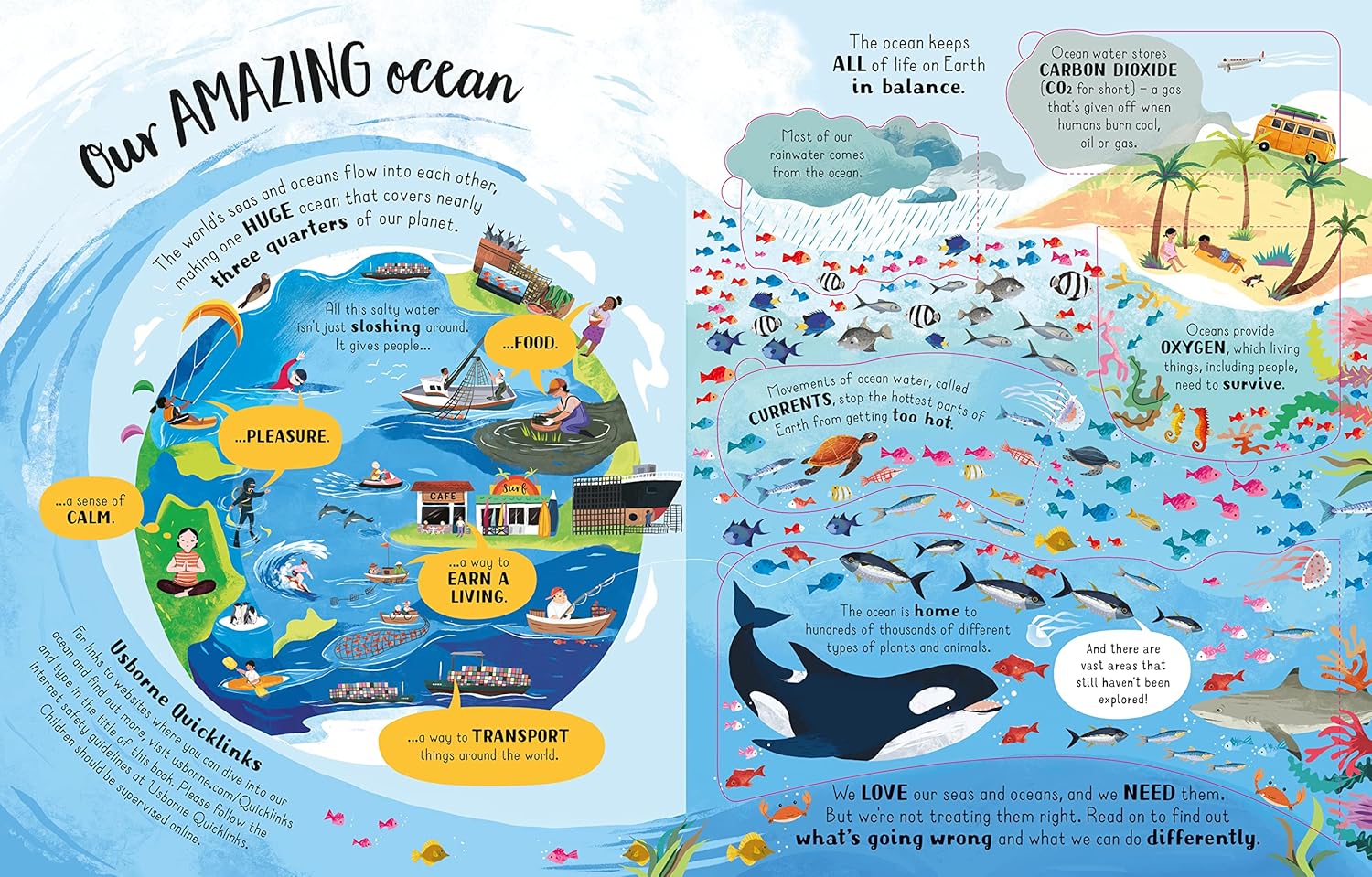 Lift-the-Flap Looking After Our Ocean (Board Book) - Image 2