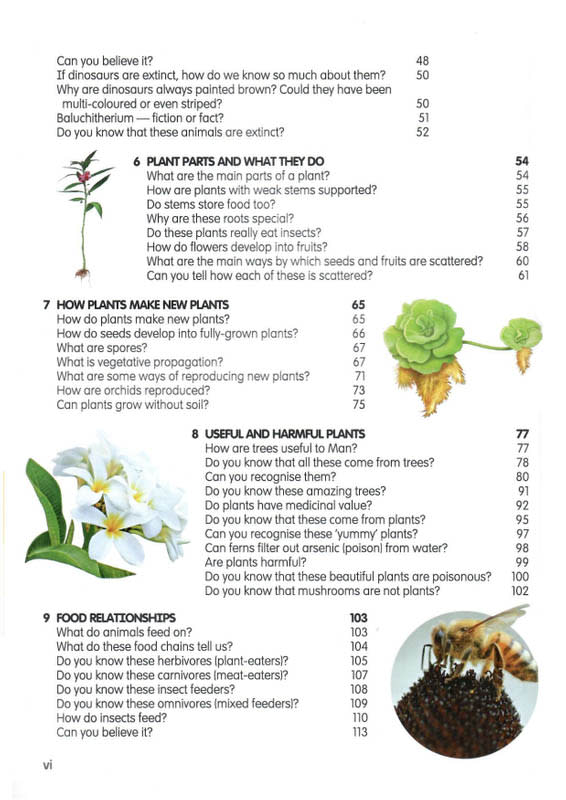 Mini Science Encyclopedia - 8th Edition - Image 4