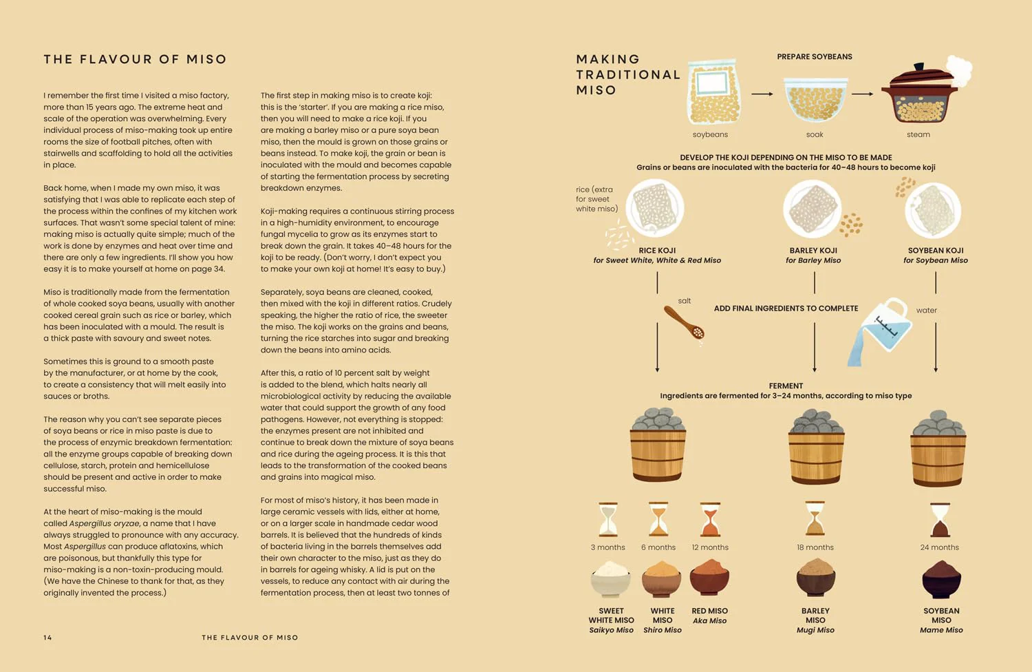 Miso: The Essential Guide to Fermented Miso - Image 3
