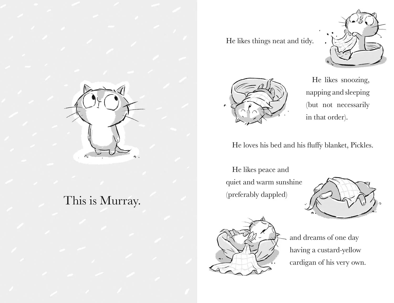 Murray The Ghosthunter - Image 3