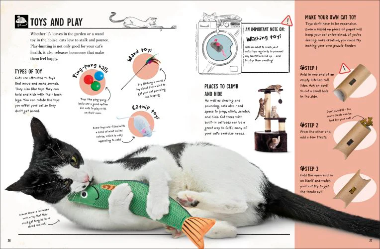 My Cat - Image 4