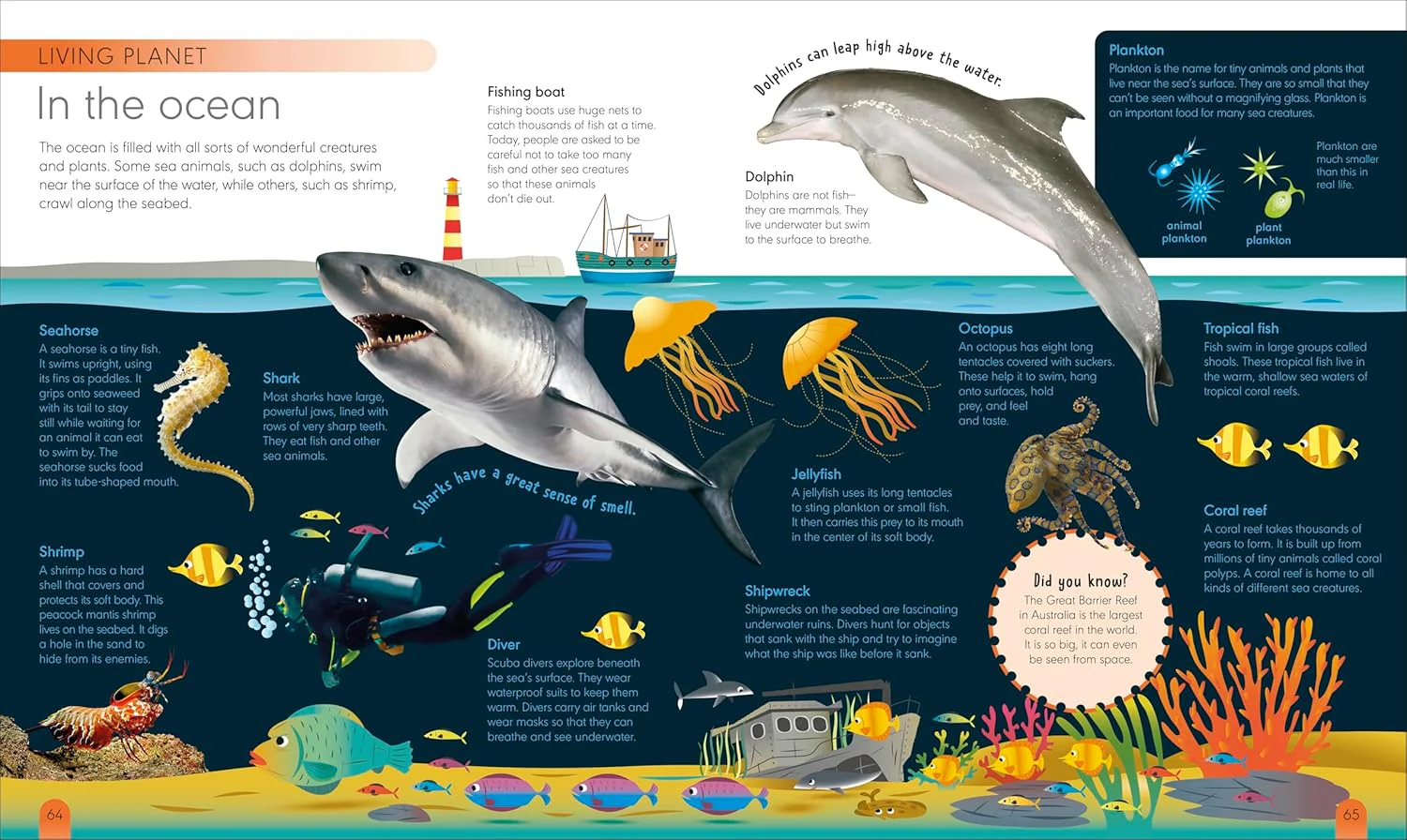 My First Encyclopedia: Introduce Little Ones to the World of Learning - Image 4