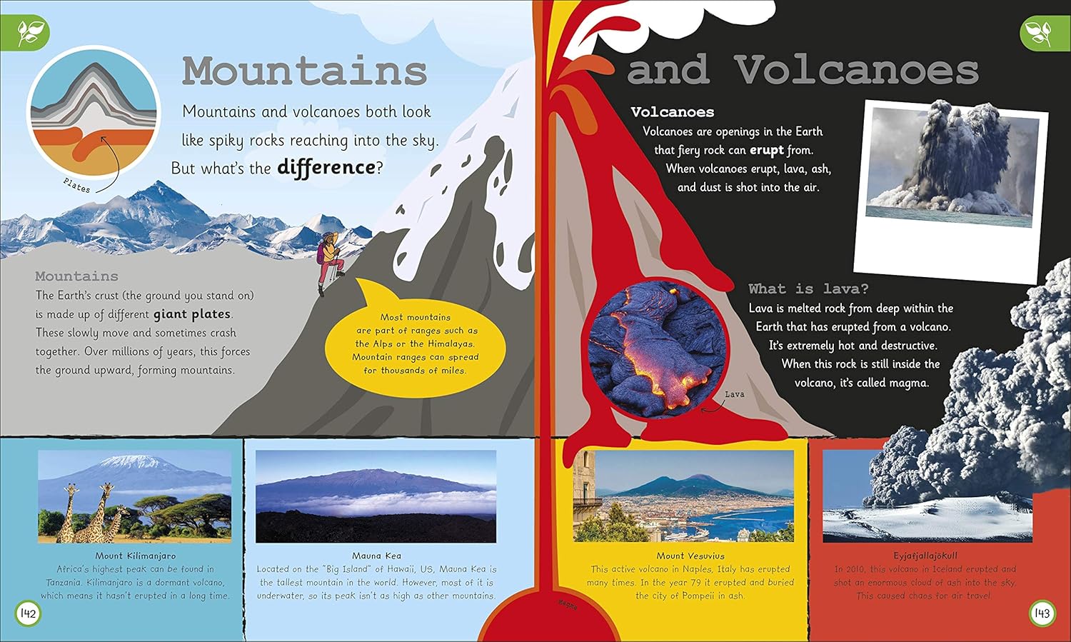 My Very Important World: For Little Learners who want to Know about the World - Image 5