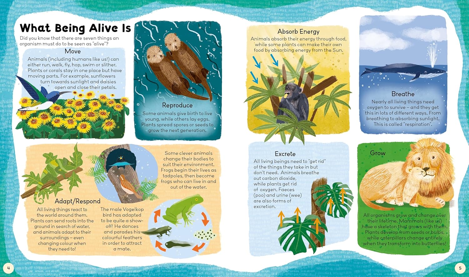 Natural World by Gemma Barder & Saranne Taylor - Image 2