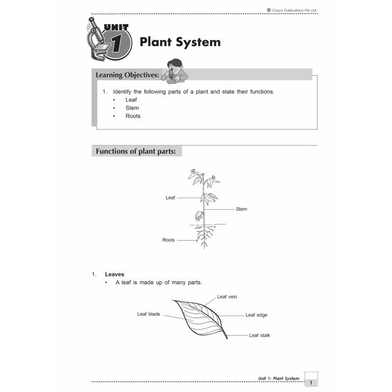 New Topical Science Primary 4 - 2nd Edition - Image 3