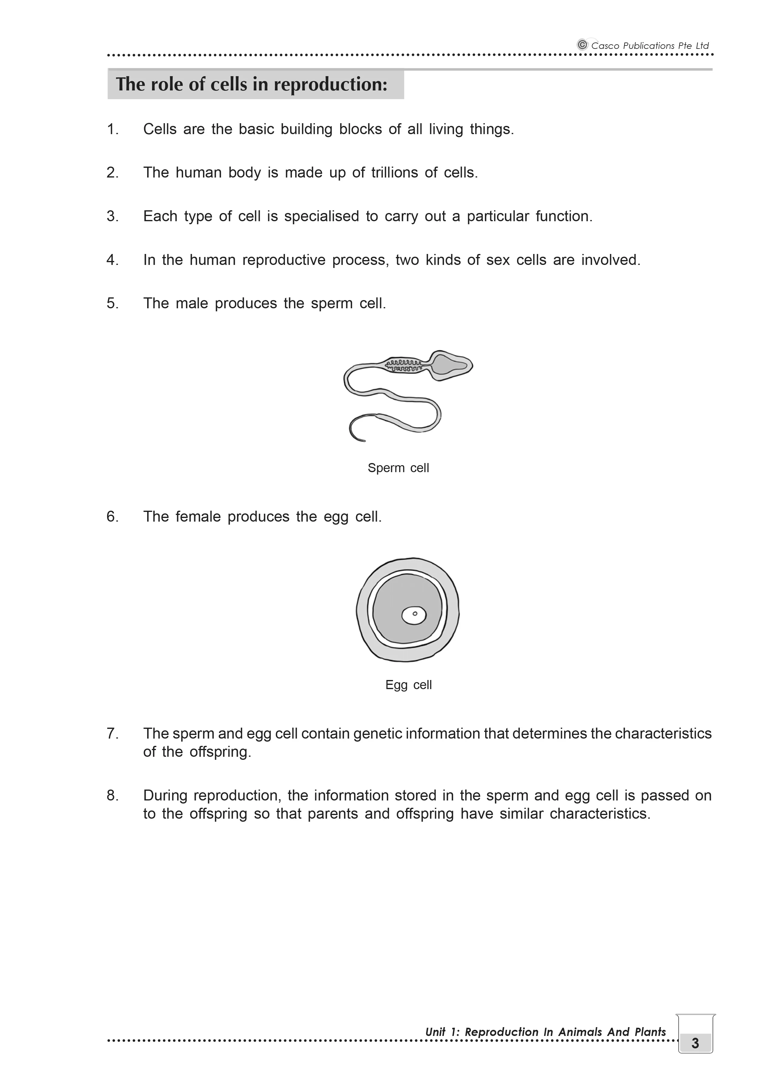 New Topical Science Primary 5 - 2nd Edition - Image 4