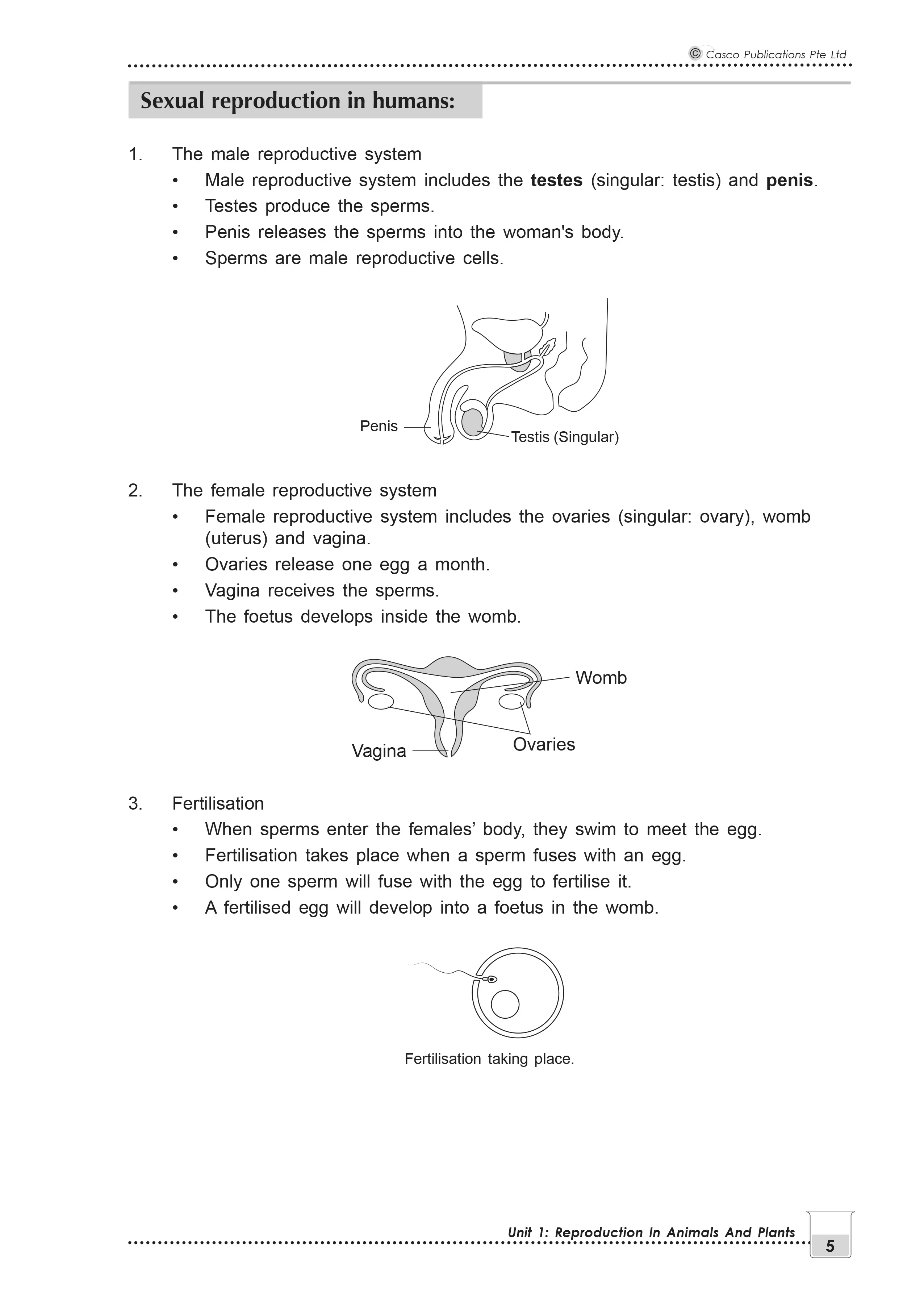 New Topical Science Primary 5 - 2nd Edition - Image 5
